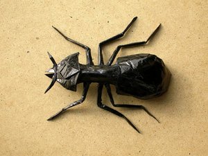 Manuel Sirgo - Black Ant