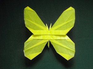 Robert Lang - Butterfly