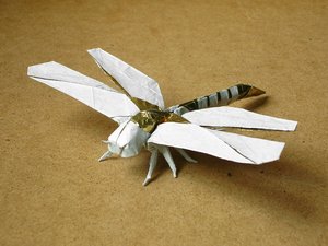 Fumiaki Kawahata - Golden-ringed (Anotogaster) Dragonfly