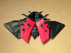 Robert Lang - Flying Ladybird Beetle