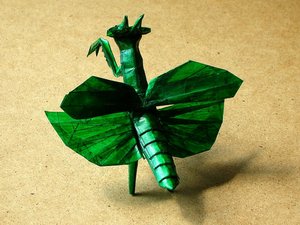 Nguyen Hung Cuong - Flying Mantis
