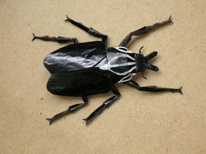 Robert Lang - Goliath Beetle