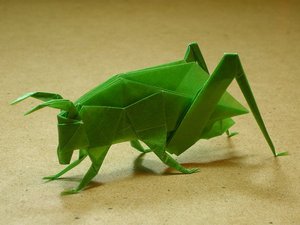 Robert Lang - Grasshopper
