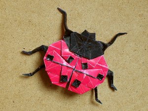 Marc Kirschenbaum - Ladybug