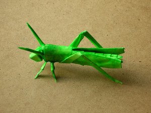 Robert Lang - Locust