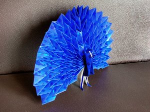 Maekawa Jun - Peacock